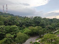springdale-condominium photo thumbnail #5
